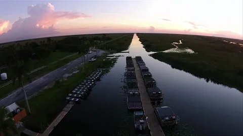 Everglades National Park Stock Footage 40466331