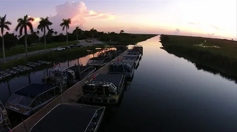 Everglades National Park Stock-Footage 40466489