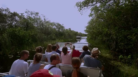 Everglades National Park Stock Footage 73750878