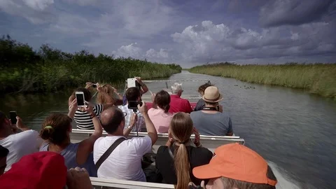 Everglades National Park Stock Footage 73752360