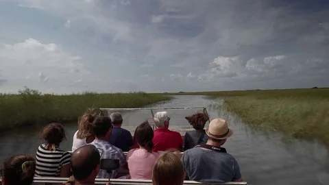 Everglades National Park Stock Footage 73753021