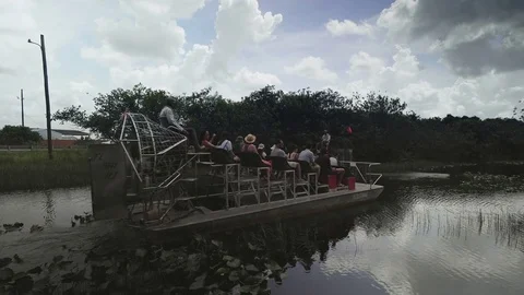 Everglades National Park Stock Footage 73759764