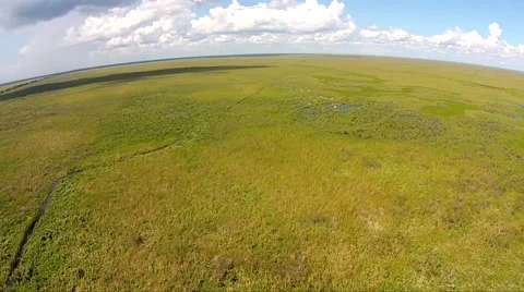 Everglades Observation Tower 360 rotation view  Video stock 44188712