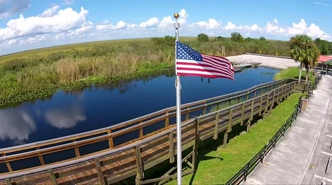 Everglades Observation Tower American Flag Video stock 44188630
