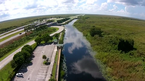 Everglades Observation Tower Canal  Video stock 44188700