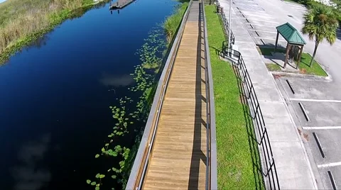 Everglades Observation Tower Fly Over Walkway Video stock 44188620