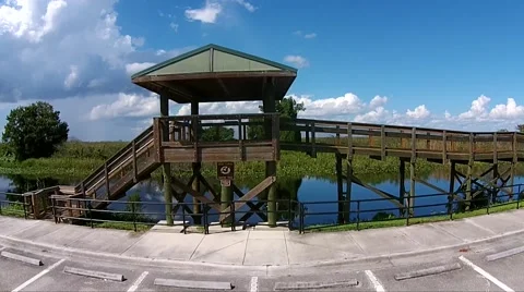 Everglades Observation Tower Fly Over Stock-Footage 44188701
