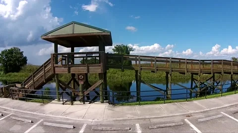 Everglades Observation Tower Pan Left Video stock 44188722