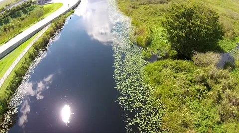 Everglades Observation Tower Sun Spot in Canal Video stock 44188732