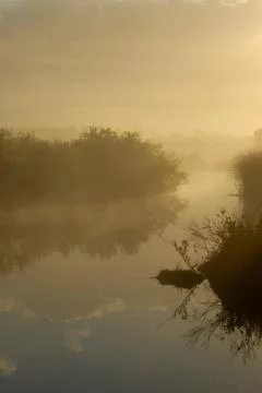 Everglades 스톡 사진