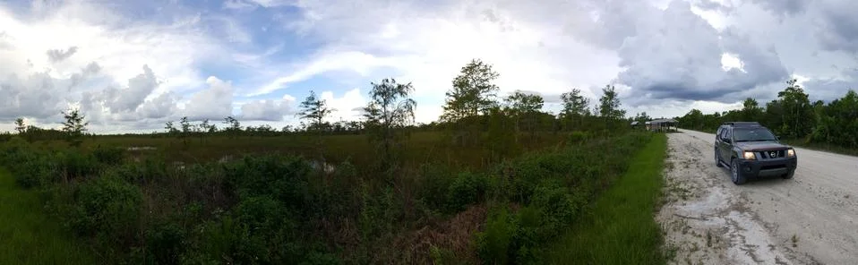 Everglades Stock Photos