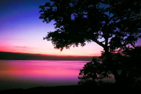 Everglades Stock Photos