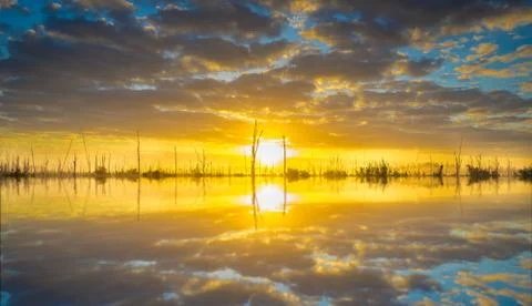 EVERGLADES REFLEXION Stock Photos