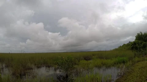 Everglades Storm timelapse Видео 40648773