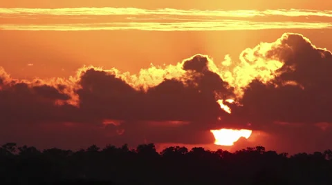 Everglades sunrise Stock Footage 34393520