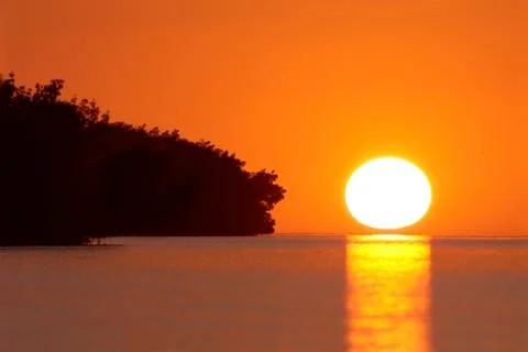 Everglades sunset Stock Photos