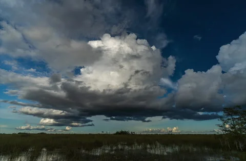 Everglades Thunderstorm Timelapse Stock Footage 245665471