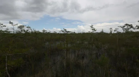 Everglades Timelapse 動画素材 26745137