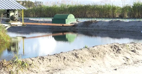 Everglades Water Irrigation Stock Footage 75382271