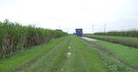 Everglades Water Management Stock Footage 75382245