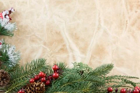 Evergreen berry corner frame Stock Photos