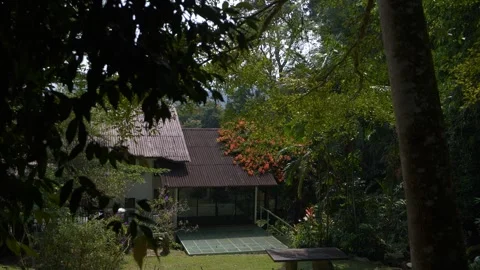 Evergreen Cottage Stock Footage 271373416