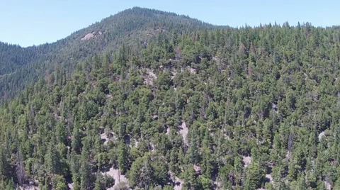 Evergreen Covered Mountain 2 Stock Footage 51456264