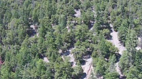 Evergreen Covered Mountain 3 Stock Footage 51456059