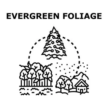 Evergreen foliage concept presenting different natural landscapes Stock Illustration