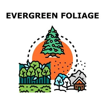 Evergreen foliage concept presenting different natural landscapes Stock Illustration