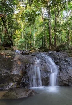 Evergreen forest waterfall Stock Photos