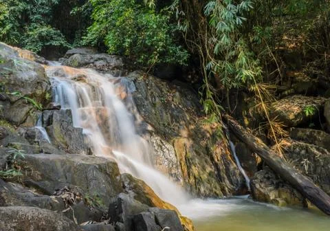 Evergreen forest waterfall Stock Photos