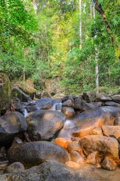 Evergreen forest waterfall Stock Photos