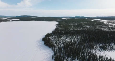 Evergreen forests in Lapland, Stock Footage 220034612