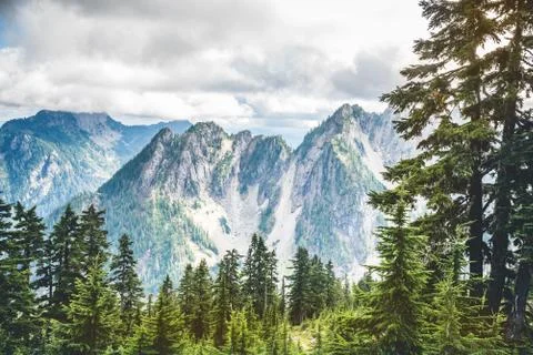 Evergreen forests in the mountains Stock-Fotos