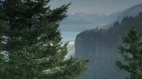 Evergreen in front of cliff Stock Footage 632690