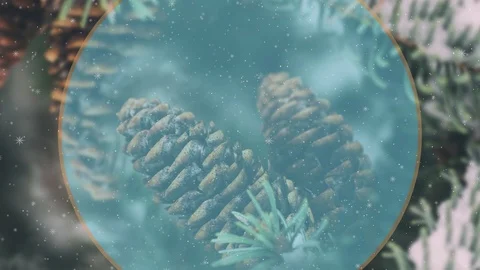 Evergreen Holidays Snow Motion Background Stock Footage 118934335