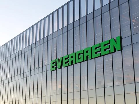 Evergreen Ilustração Stock