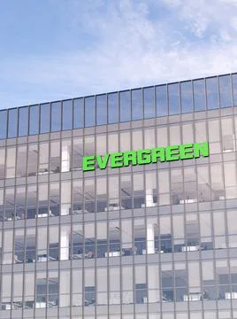 Evergreen 스톡 일러스트