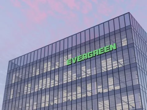 Evergreen イラスト素材