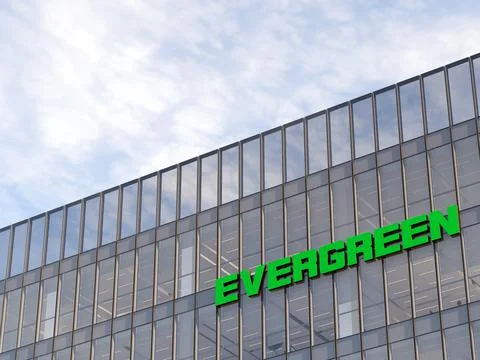 Evergreen 스톡 일러스트