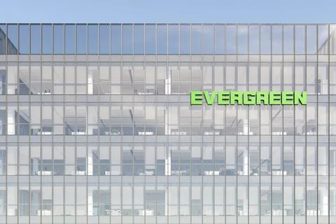 Evergreen 스톡 일러스트