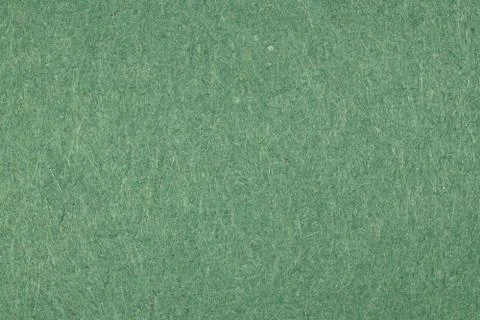 Evergreen Paper Background Texture Stock Photos