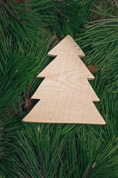 Evergreen pine branches, green pine needles texture, natural background Stock Photos