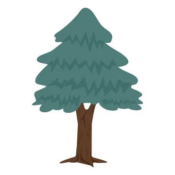Evergreen pine tree with brown trunk Stock Illustration