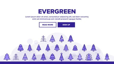 Evergreen Pine Tree Landing Header Vector Illustrazione stock