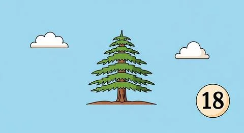 Evergreen pine tree with layered branches on blue sky background with cloud.. Stock Illustration