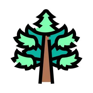 Evergreen pine tree vector icon concept Stock Illustration