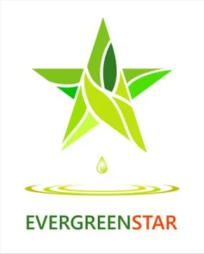 Evergreen star Stock Illustration