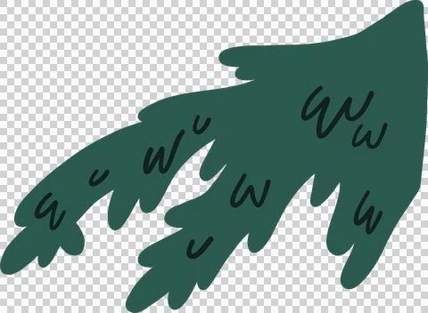 Evergreen tree branch is being shown in flat design on transparent background, Stock Illustration